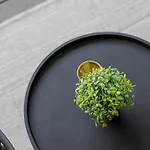 Kalina - Am Rhein, Naehe Basf, Abbvie, Uni Ma *