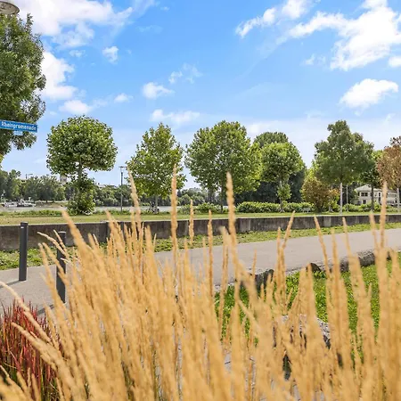 Kalina - Am Rhein, Naehe Basf, Abbvie, Uni Ma Appartement *