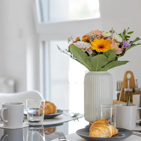 Kalina - Am Rhein, Naehe Basf, Abbvie, Uni Ma Appartement Ludwigshafen