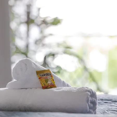 Kalina - Am Rhein, Naehe Basf, Abbvie, Uni Ma Appartement *