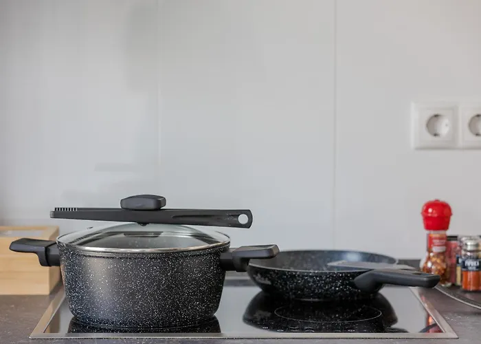 Kalina - Am Rhein, Naehe Basf, Abbvie, Uni Ma Appartement Ludwigshafen