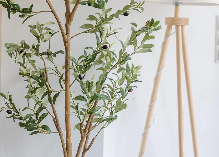 Kalina - Am Rhein, Naehe Basf, Abbvie, Uni Ma Ludwigshafen