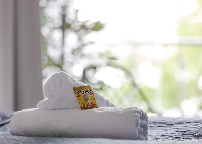 Kalina - Am Rhein, Naehe Basf, Abbvie, Uni Ma Appartement *